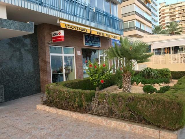 Appartamento 1ª Linea Playa Levante, Garage, Wifi, Climatizacion *